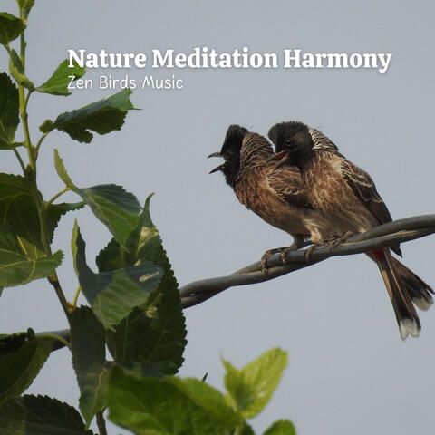Nature Meditation Harmony: Zen Birds Music
