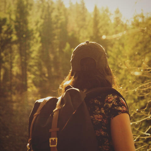 Nature Sounds For Calm