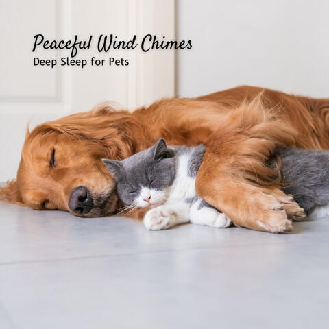 Peaceful Wind Chimes: Deep Sleep for Pets