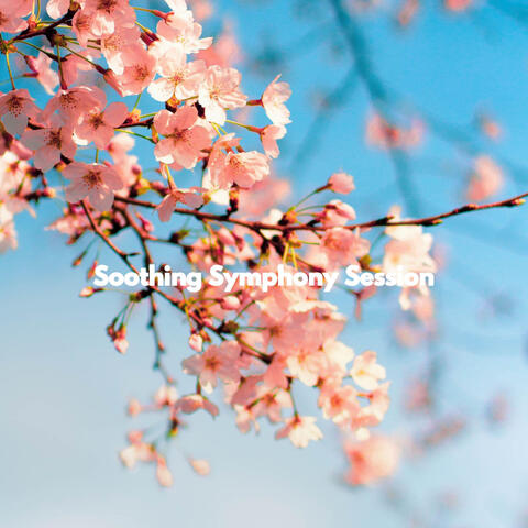 Soothing Symphony Session