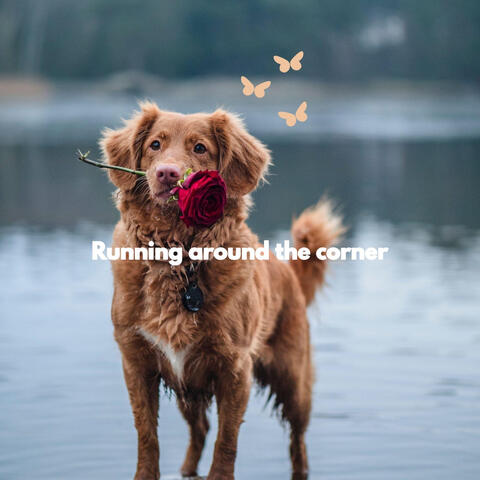 Running around the corner