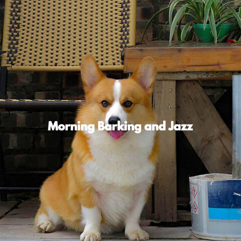 Morning Barking and Jazz