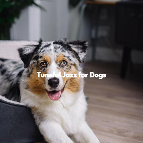 Tuneful Jazz for Dogs