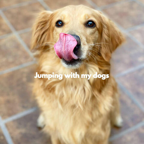 Jumping with my dogs