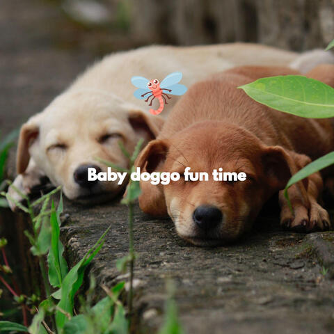 Baby doggo fun time
