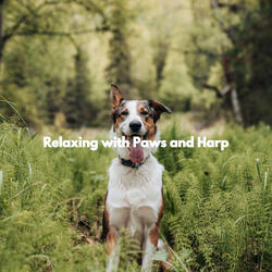 Contemporary Music for Sunday Dog Party