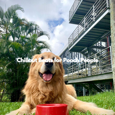 Chillout Beats for Pooch People
