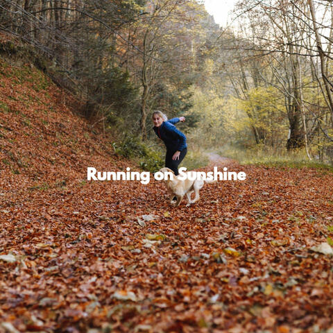 Running on Sunshine