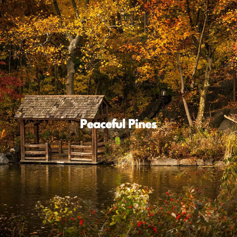 Peaceful Pines