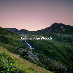 Subdued Serenity Land