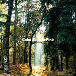 Wondrous Music for Infinite Vibes