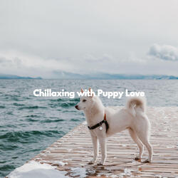 Atmospheric Music for Sunday Dog Party