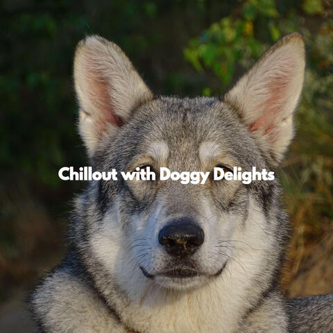 Chillout with Doggy Delights
