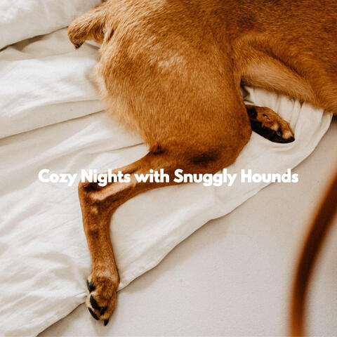 Cozy Nights with Snuggly Hounds
