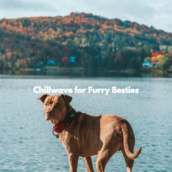 Smoky Backdrops for Groggy Doggy