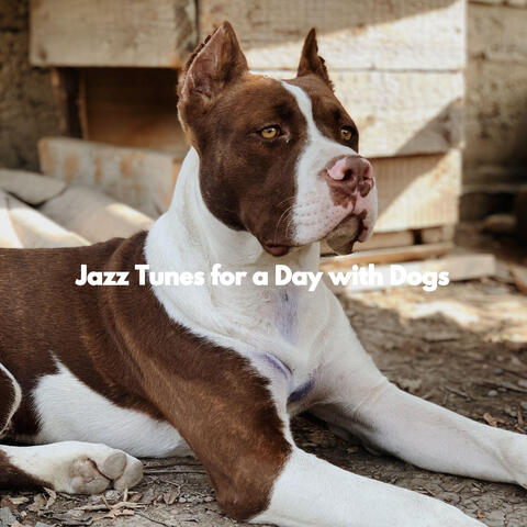 Jazz Tunes for a Day with Dogs