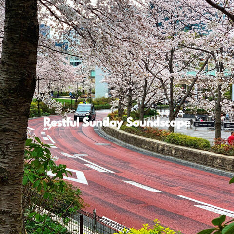 Restful Sunday Soundscape