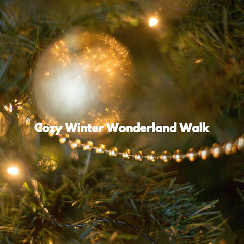Cozy Winter Wonderland Walk