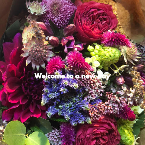 Welcome to a new day