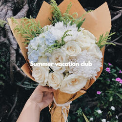 Peaceful Evening Serene