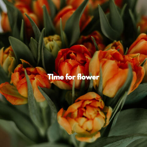 TIme for flower