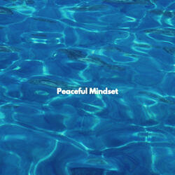 Sophisticated Ambience for Momentum Reflection