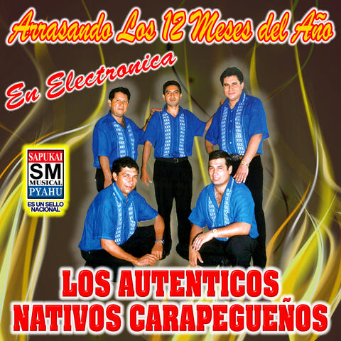 Arrasando Los 12 Meses del Año, En Electronica