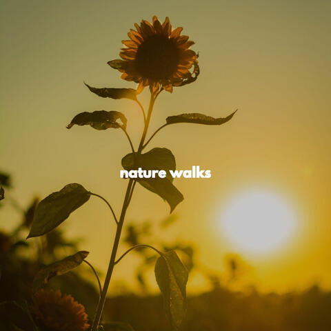 nature walks