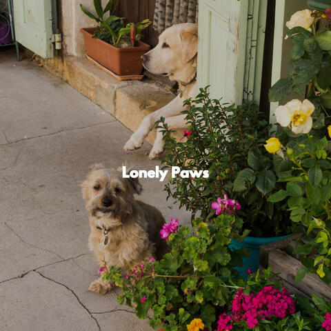 Lonely Paws