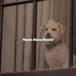 Modish Waltz - Vibe for Brunch with Dogs