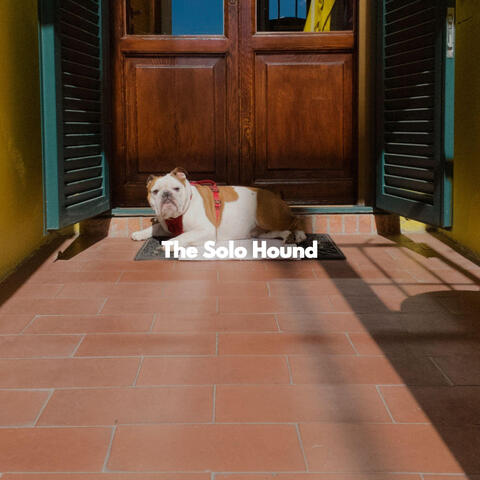 The Solo Hound