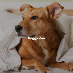 Luxurious Ambience for Weekday Dog Parties
