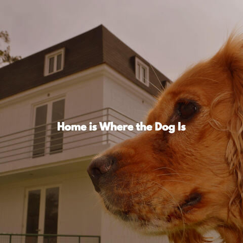 Home is Where the Dog Is