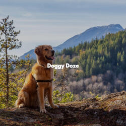 Entertaining Loyal Pups