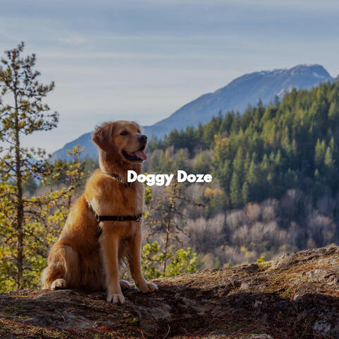 Doggy Doze