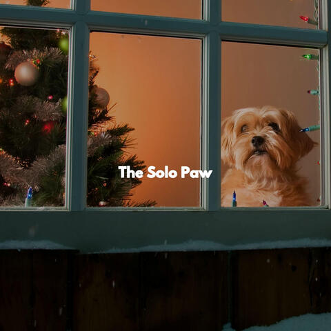 The Solo Paw