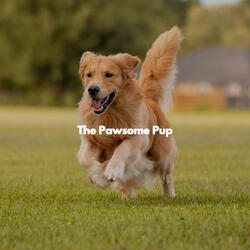 Atmospheric Moods for Loyal Pups