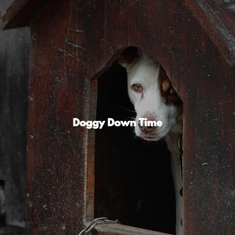 Doggy Down Time