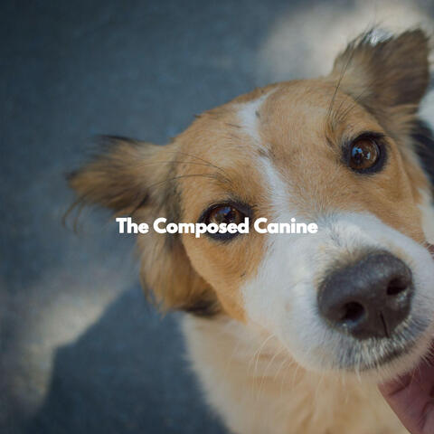 The Composed Canine