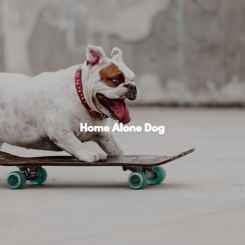 Home Alone Dog