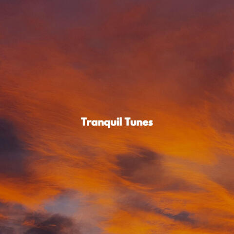 Tranquil Tunes