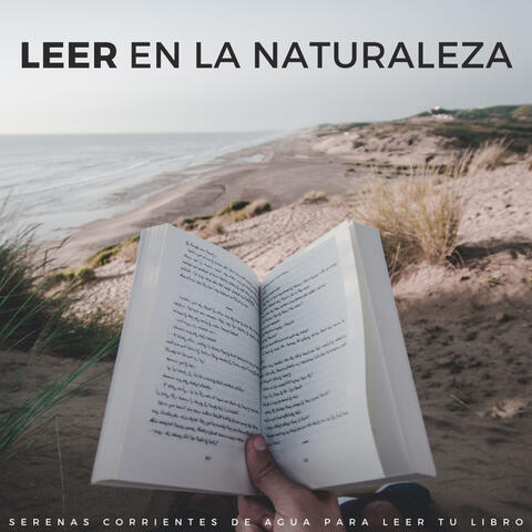 Leer En La Naturaleza: Serenas Corrientes De Agua Para Leer Tu Libro