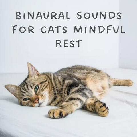 Binaural Sounds for Cats Mindful Rest