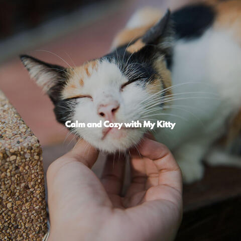 Calm and Cozy with My Kitty