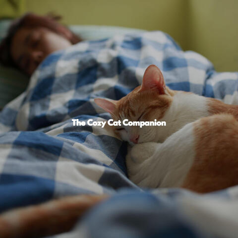 The Cozy Cat Companion
