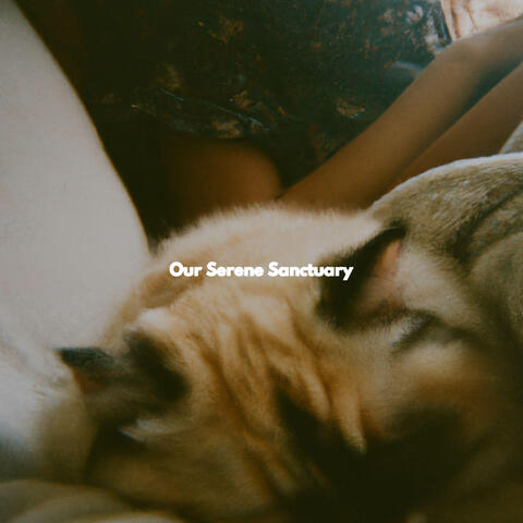 Our Serene Sanctuary