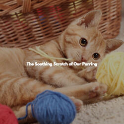 Entertaining Moods for Splendid Autumns