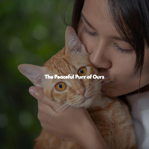 The Peaceful Purr of Ours