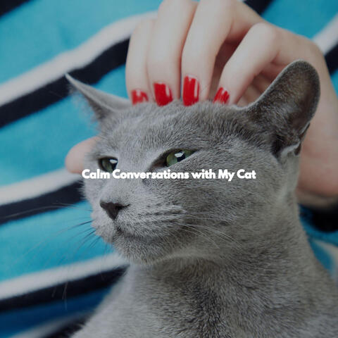 Calm Conversations with My Cat