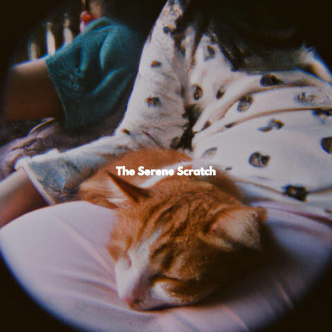 The Serene Scratch